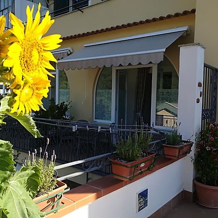 Il Covo Delle Civette Bed & Breakfast Vietri sul Mare Exterior photo