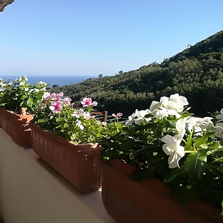Il Covo Delle Civette Bed & Breakfast Vietri sul Mare Exterior photo