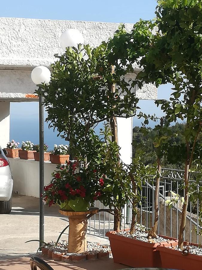 Il Covo Delle Civette Bed & Breakfast Vietri sul Mare Exterior photo