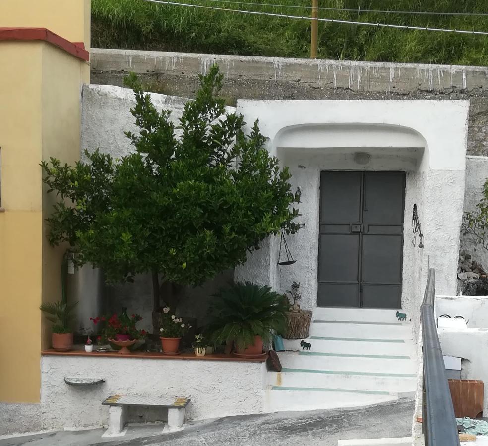 Il Covo Delle Civette Bed & Breakfast Vietri sul Mare Exterior photo