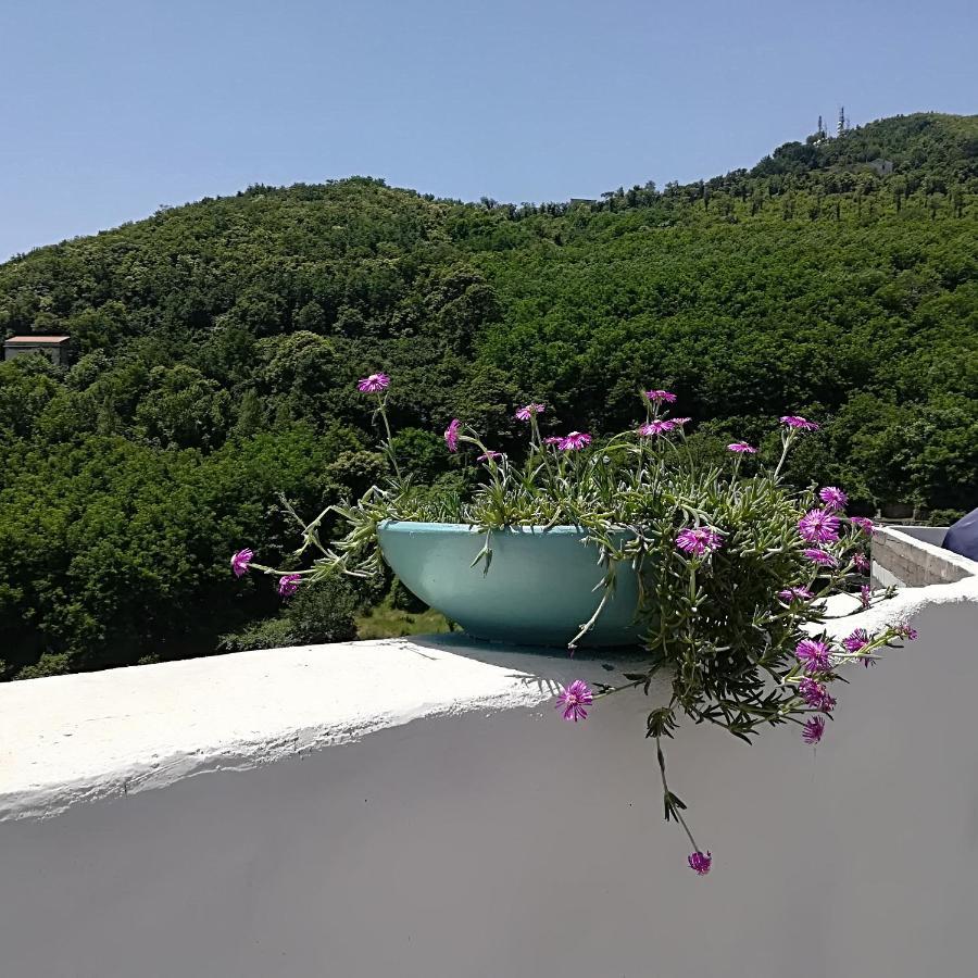 Il Covo Delle Civette Bed & Breakfast Vietri sul Mare Exterior photo