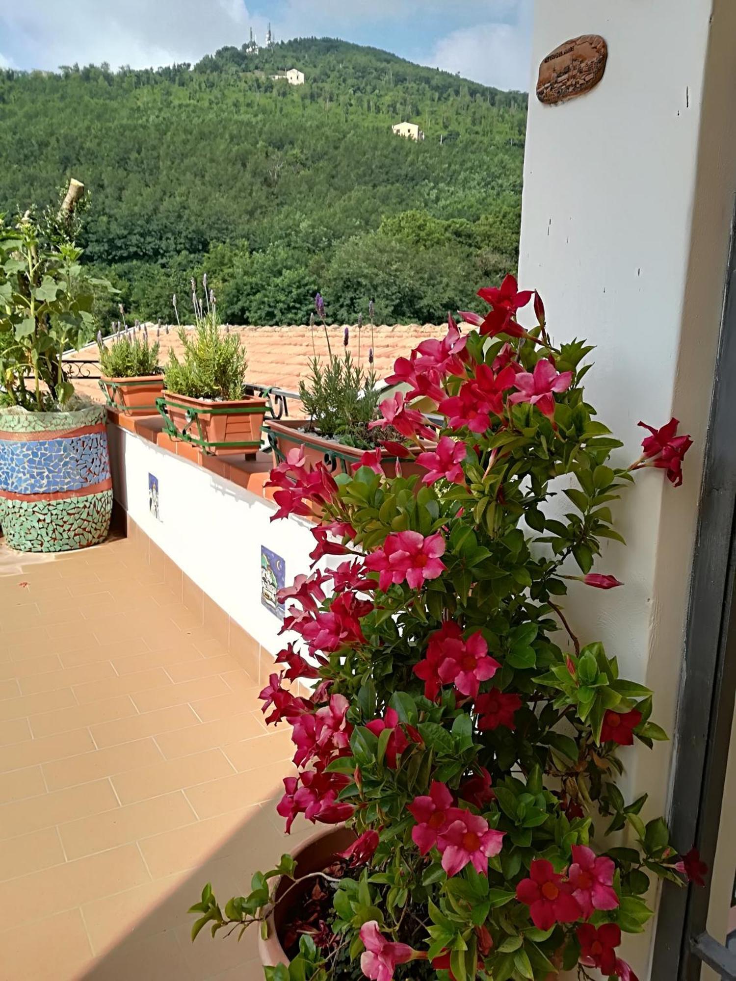 Il Covo Delle Civette Bed & Breakfast Vietri sul Mare Exterior photo