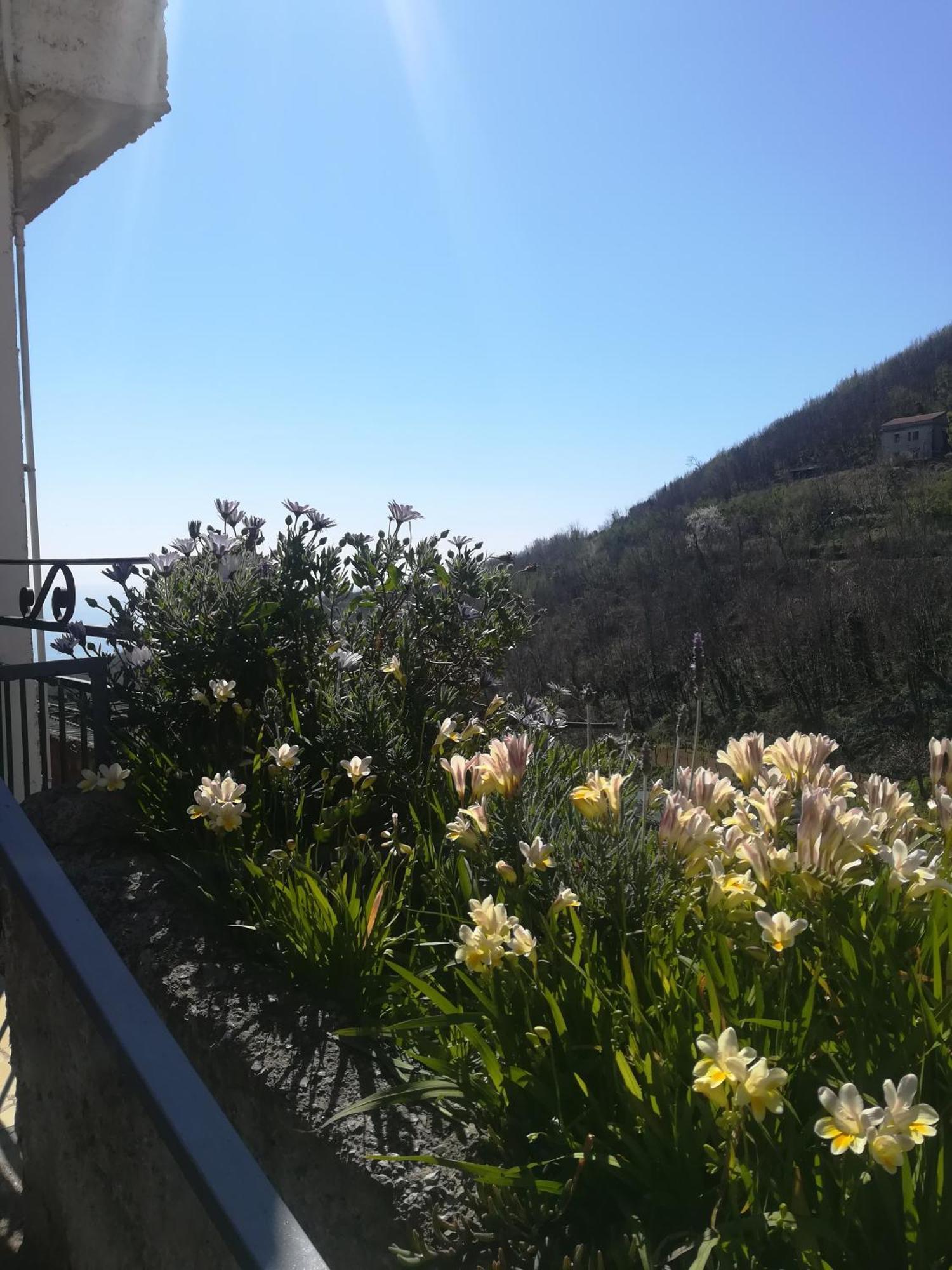 Il Covo Delle Civette Bed & Breakfast Vietri sul Mare Exterior photo